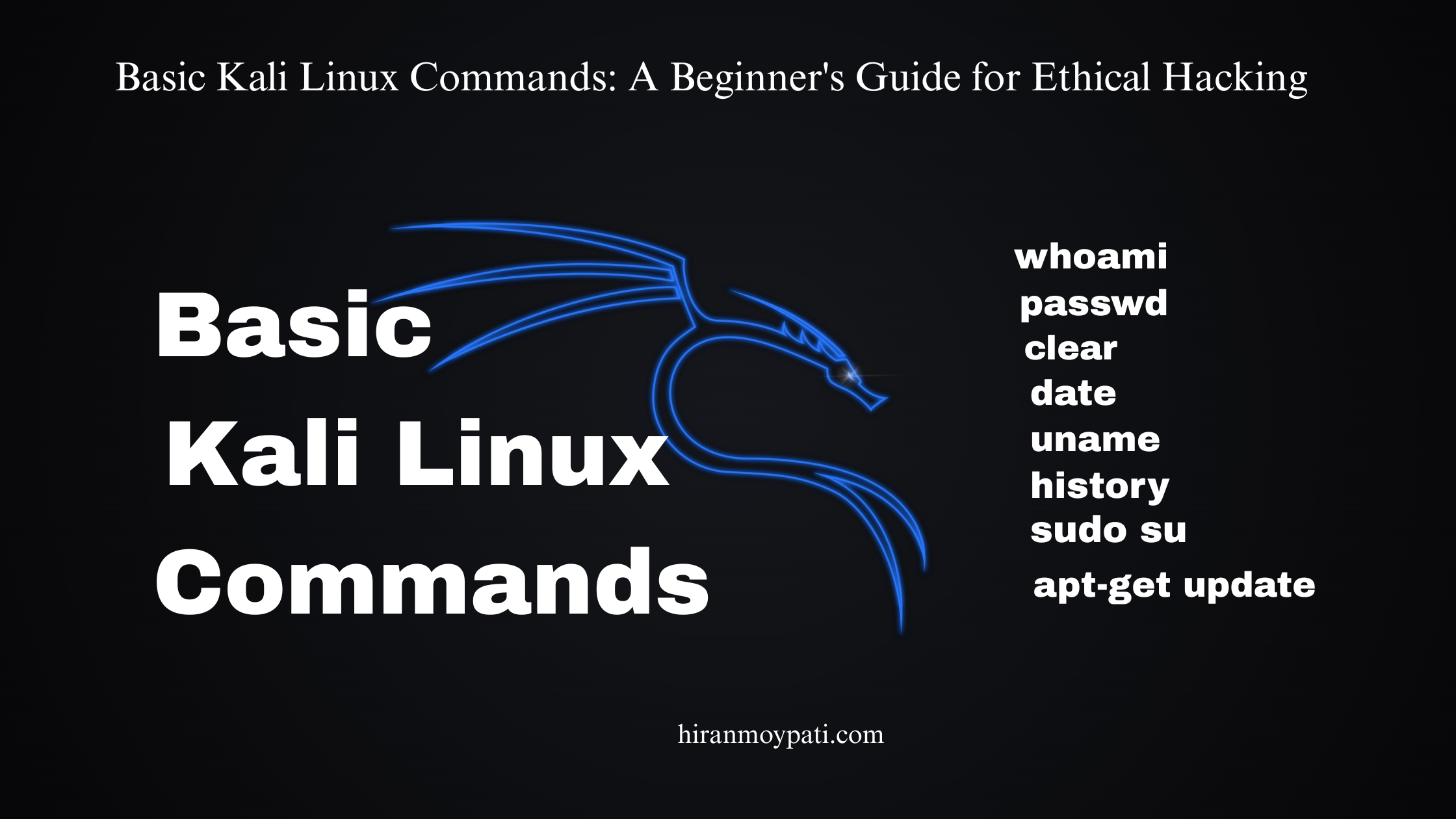 Basic Kali Linux Commands: A Beginner's Guide for Ethical Hacking